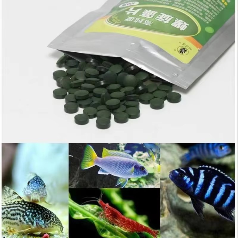 Aquarium Fish Vitamin - 50/100/200/300개 수족관 인기 상품 어류 사료