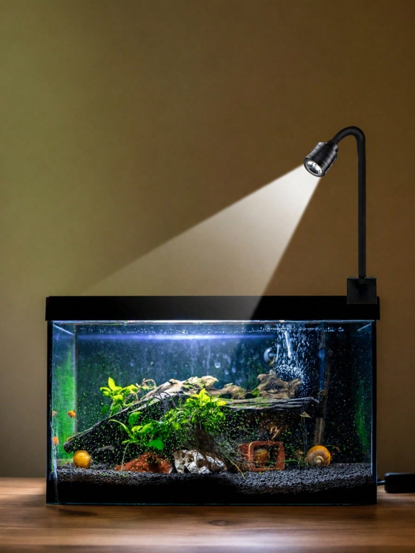 Aquarium Fish Goldfish - USB 수족관 조명, 줌 남미식 스포트라이트,