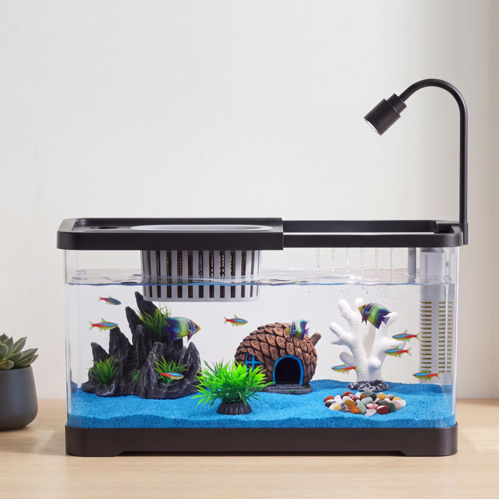 어항 스타터 키트(필터 및 조명 포함) - 금붕어, 새 - Aquarium Fish Goldfish 리뷰 및 가격
