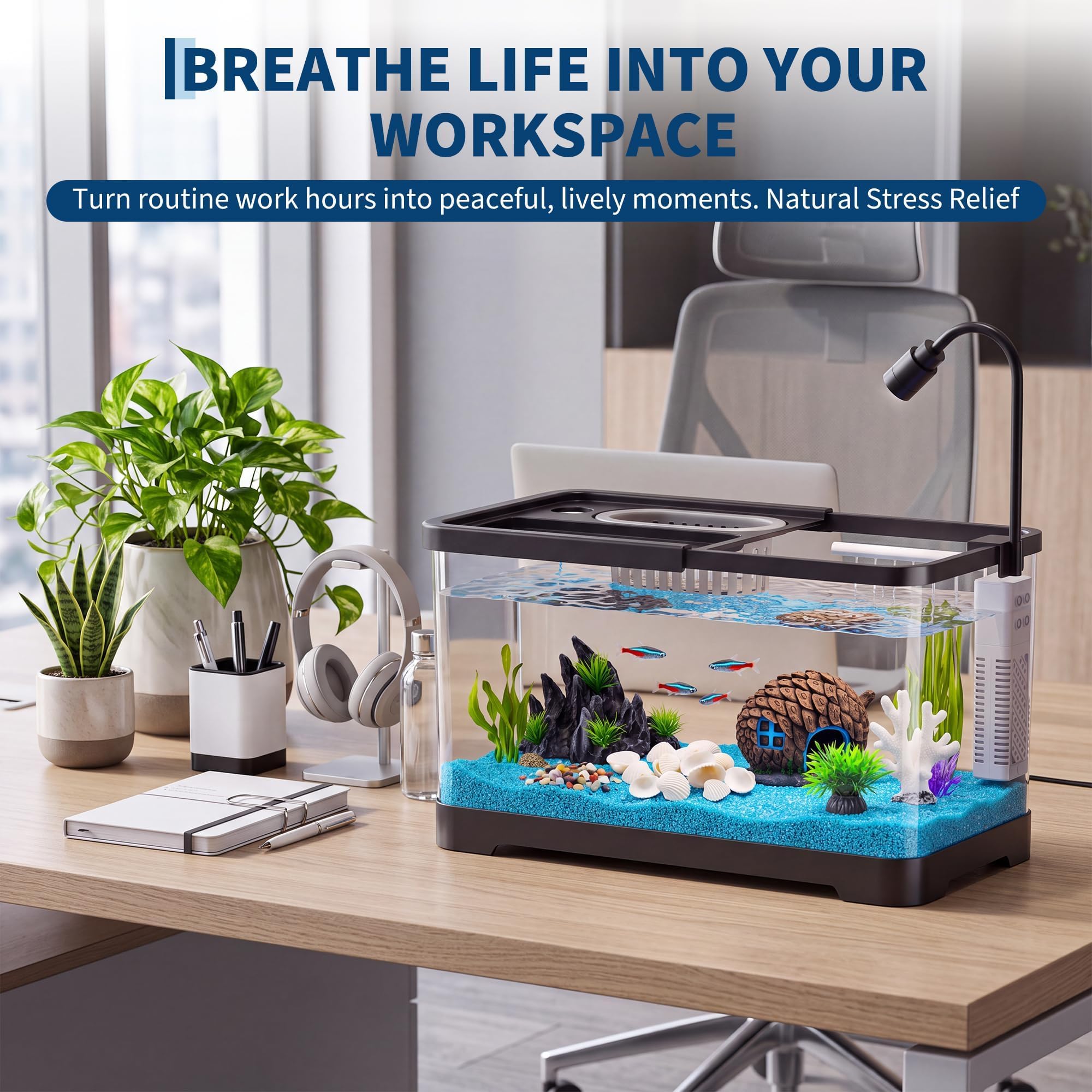 어항 스타터 키트(필터 및 조명 포함) - 금붕어, 새 - Aquarium Fish Goldfish 리뷰 및 가격