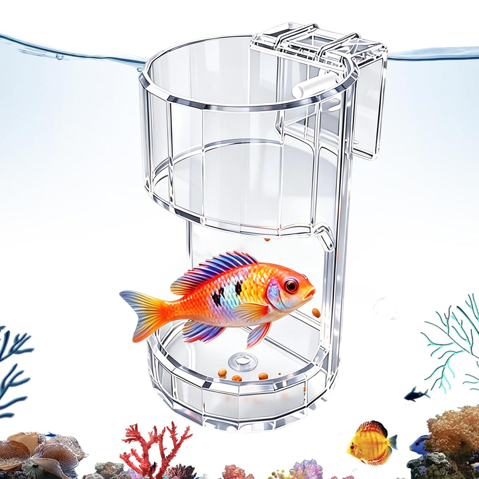 수족관 먹이통 투명한 음식 그릇 홀더 컨테이너 수족관  - Aquarium Fish Holiday Food 리뷰 및 가격