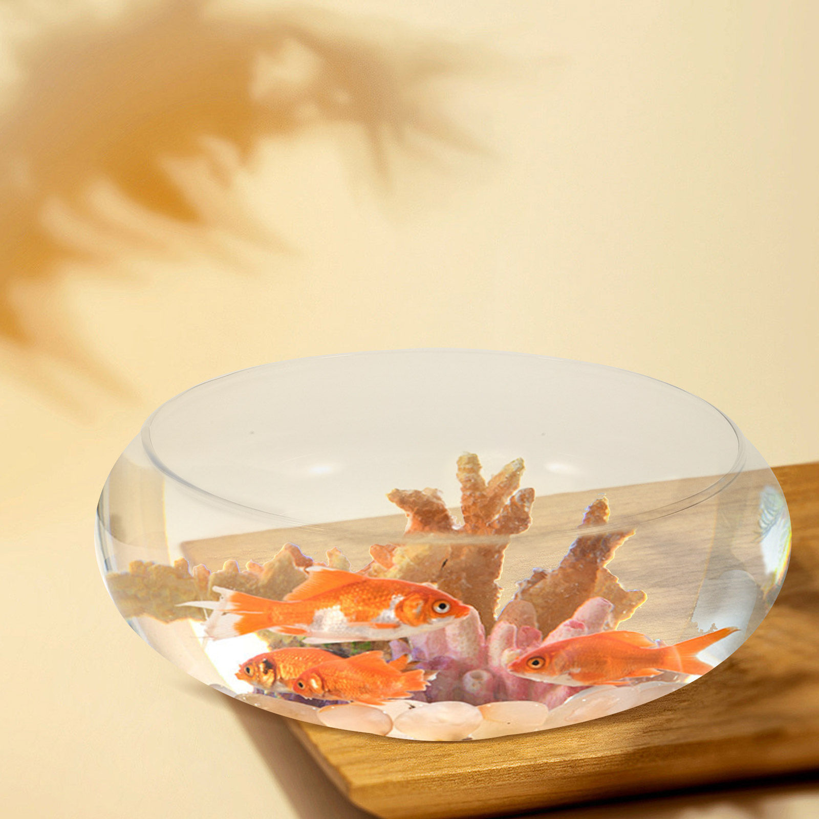 유리 물고기 어항, 작은 물고기용 어항, 투명한 데스크 - Aquarium Fish Goldfish 리뷰 및 가격