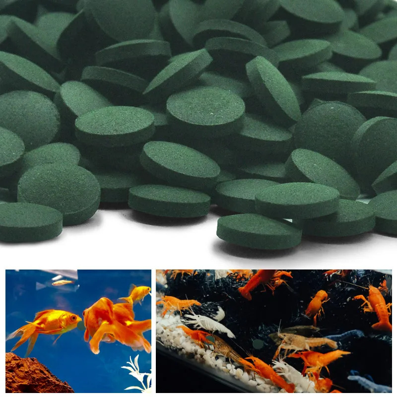 50/100/200/300개 수족관 인기 상품 어류 사 - Aquarium Fish Vitamin 리뷰 및 가격