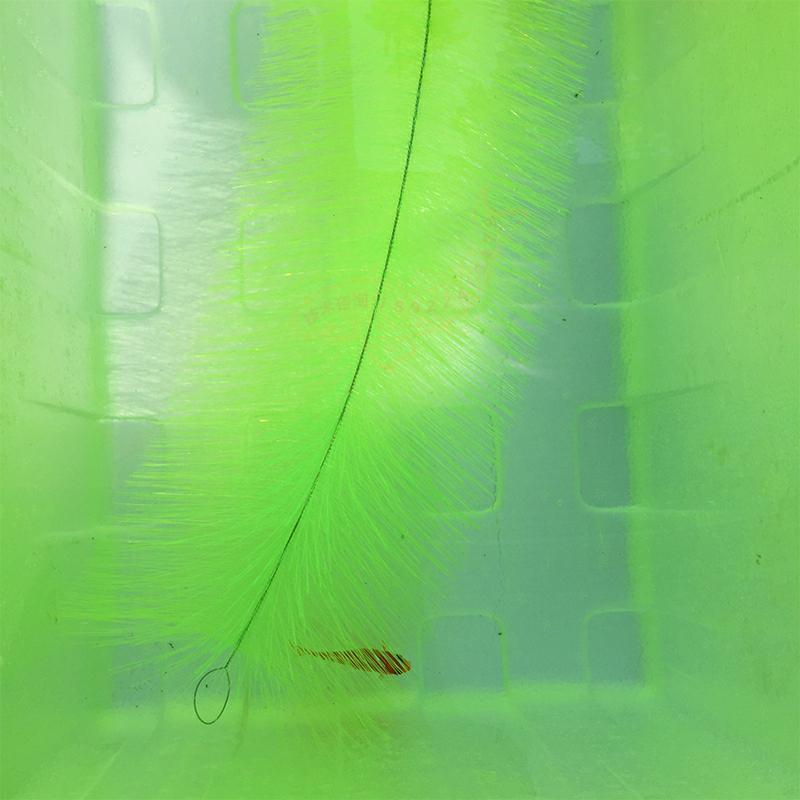 코이 물고기 알 부화용 사육용 잔디, 금붕어 양식용 여 - Aquarium Fish Goldfish 리뷰 및 가격