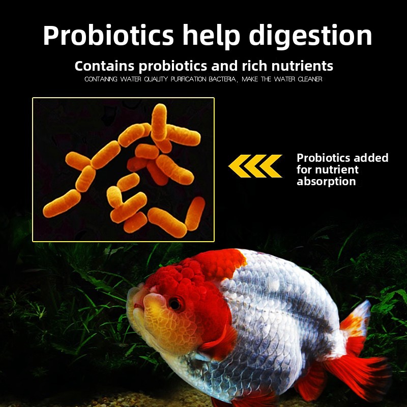 롱니안 색상 강화 금붕어 및 코이 사료, 아스타잔틴 함 - Aquarium Fish Vitamin 리뷰 및 가격