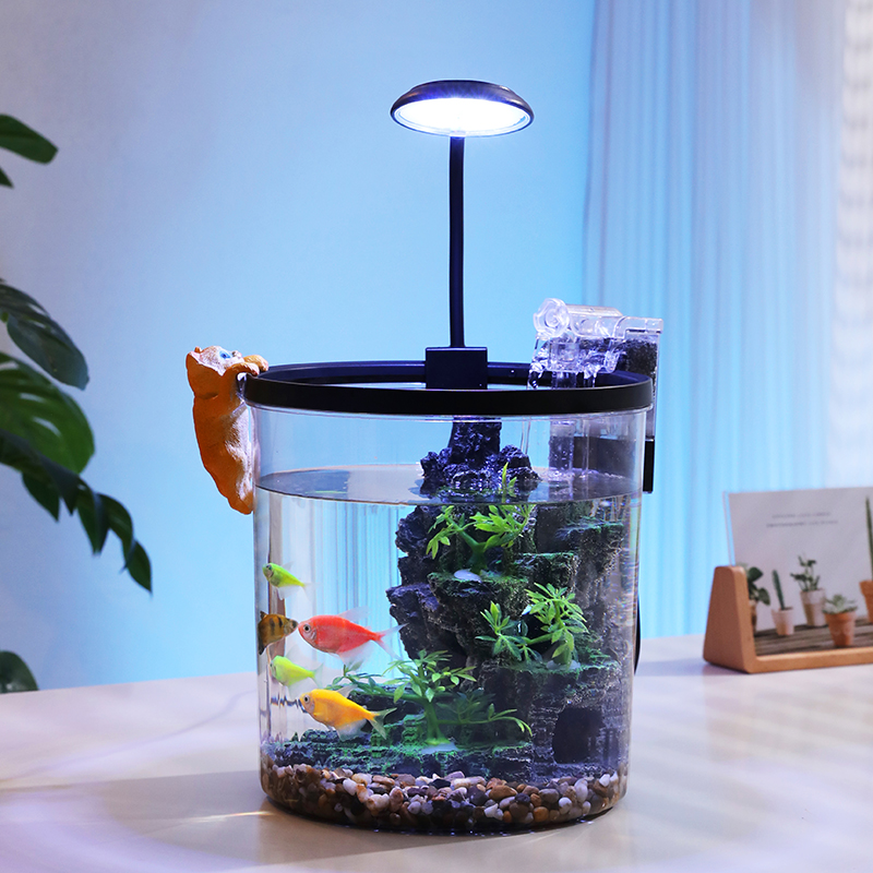컴팩트 원형 금붕어 어항 - 사무실 및 가정용 데스크탑 - Aquarium Fish Goldfish 리뷰 및 가격