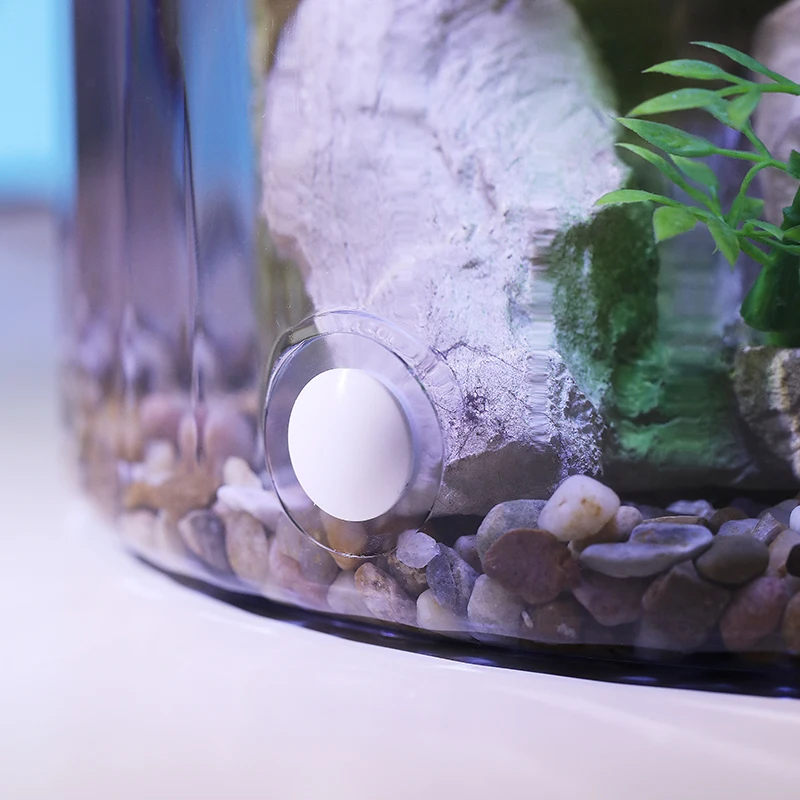 컴팩트 원형 금붕어 어항 - 사무실 및 가정용 데스크탑 - Aquarium Fish Goldfish 리뷰 및 가격