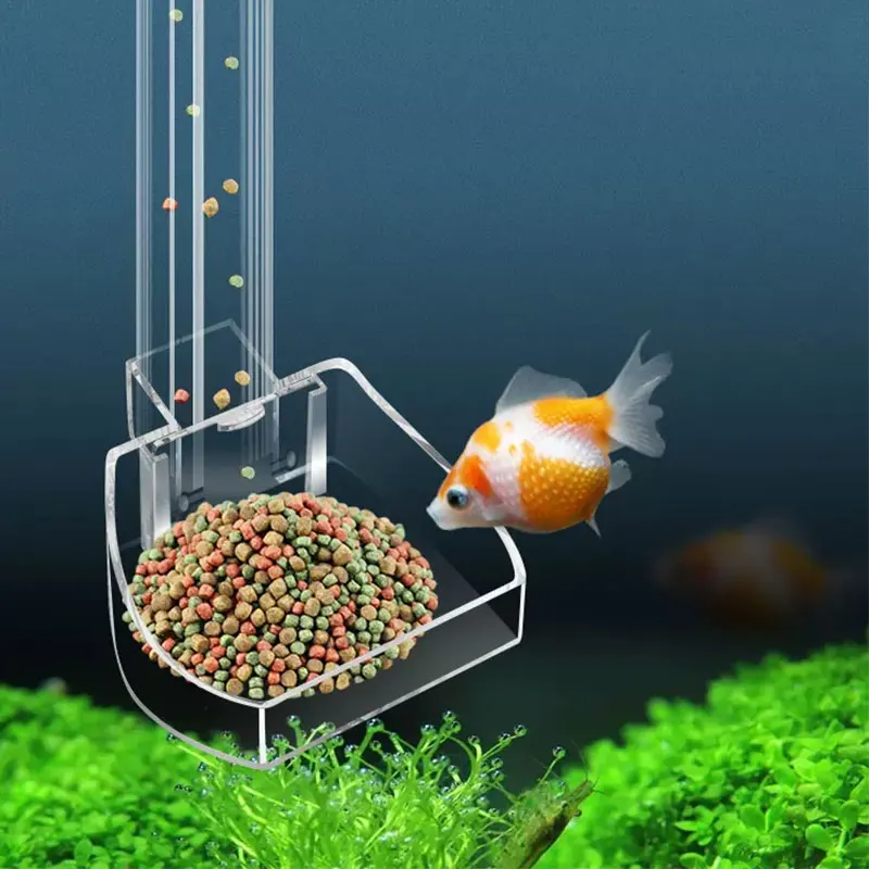 수족관 아크릴 먹이 튜브, 붙지 않는 물고기 디자인,  - Aquarium Fish Variety 리뷰 및 가격