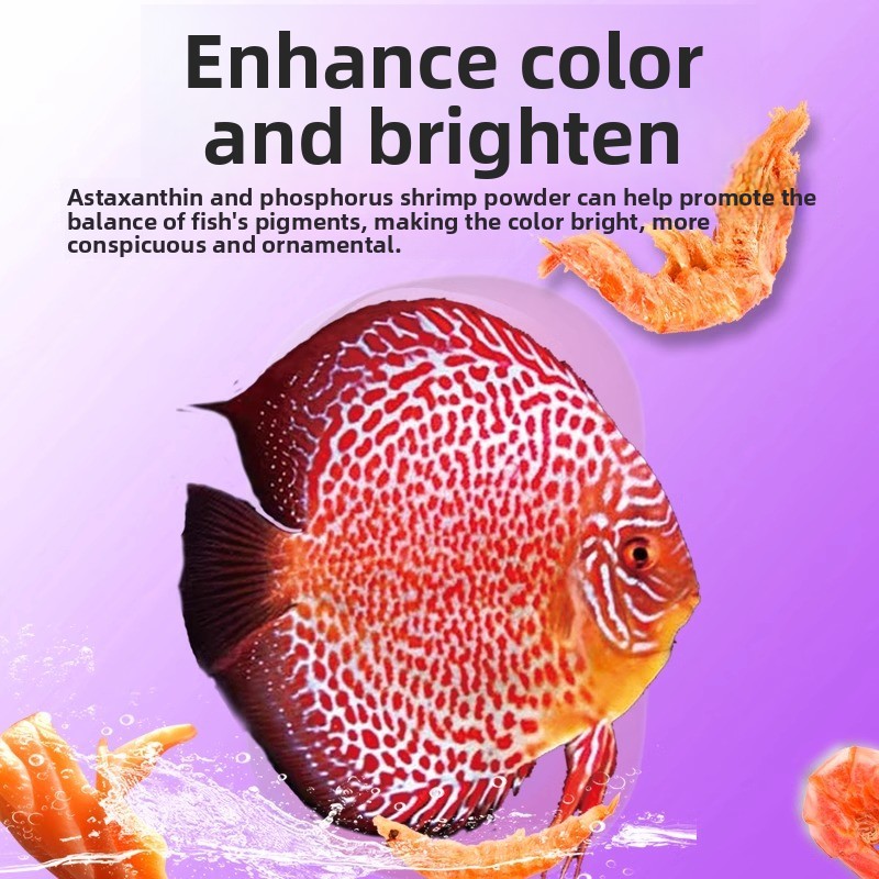 롱루오시지아 디스커스 어류 사료 - 인공 빗상 베개 | - Aquarium Fish Vitamin 리뷰 및 가격