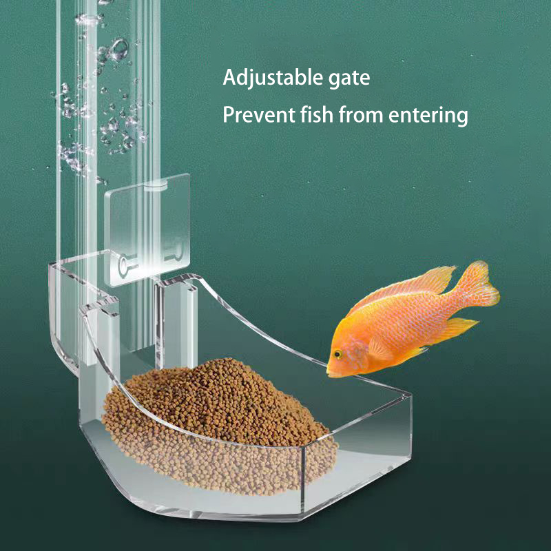 수족관 아크릴 먹이 공급 튜브 막힘 방지 물고기 디자인 - Aquarium Fish Variety 리뷰 및 가격
