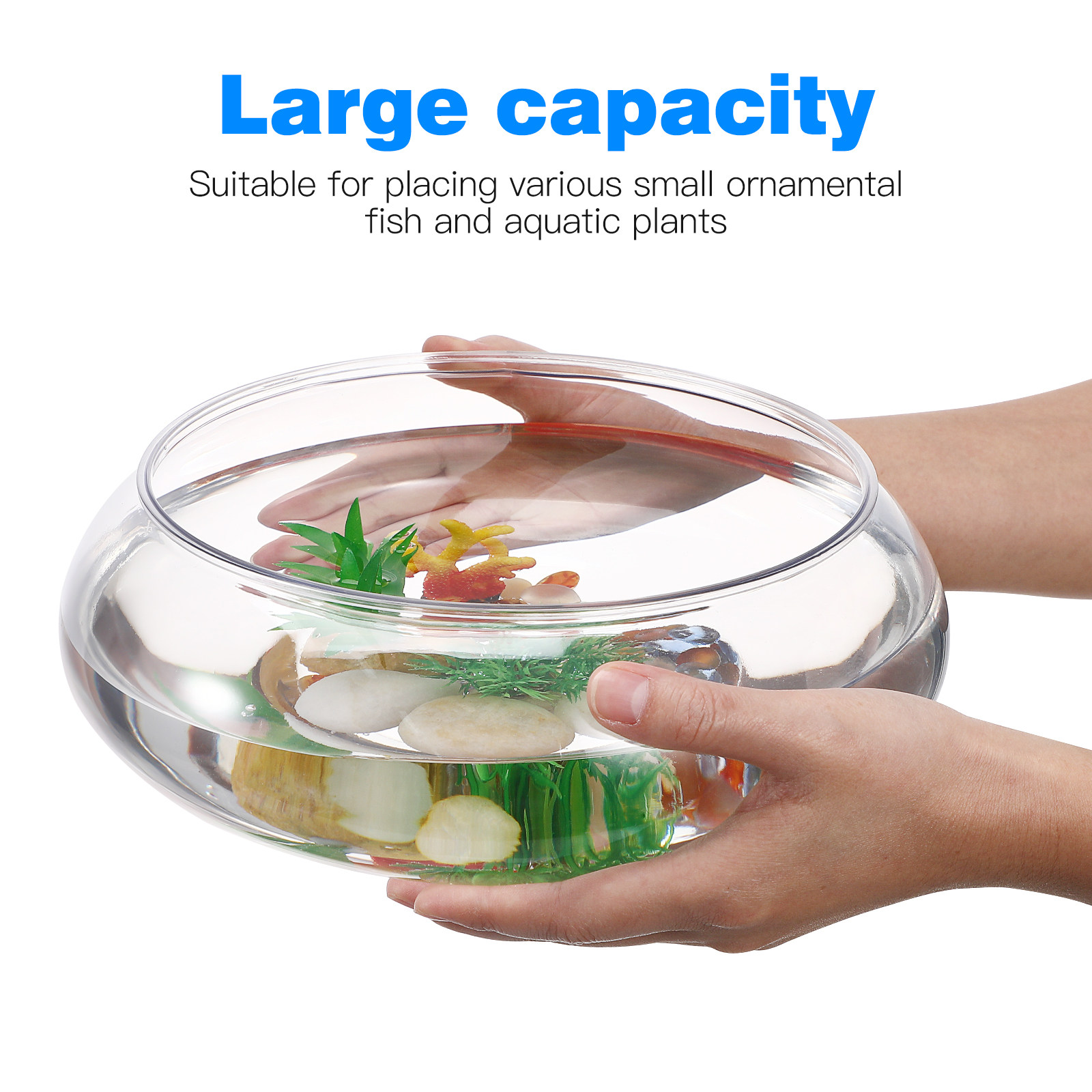 투명 수족관 2800ml 데스크탑 플라스틱 어항 소형  - Aquarium Fish Goldfish 리뷰 및 가격