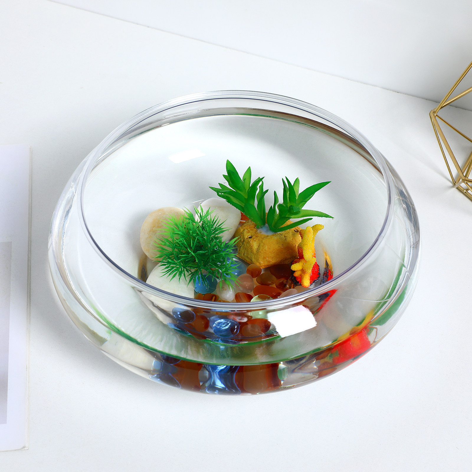 투명 수족관 2800ml 데스크탑 플라스틱 어항 소형  - Aquarium Fish Goldfish 리뷰 및 가격