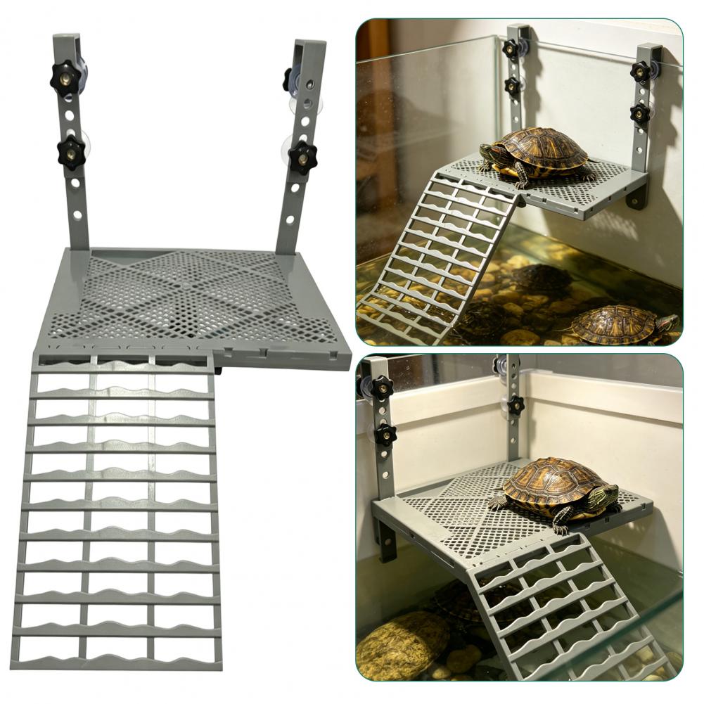 수족관 장식용 고형형 거치형 거북이 일광욕 플랫폼, 흡 - Aquarium Fish Guppy 리뷰 및 가격