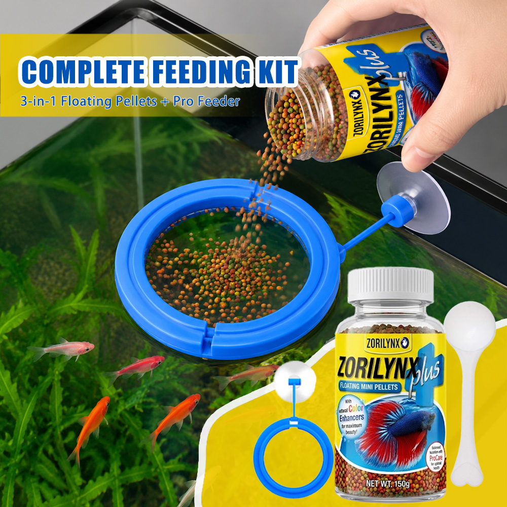 베타 금붕어 열대어 영양 색상 강화제 세트 ZORILY - Aquarium Fish Vitamin 리뷰 및 가격