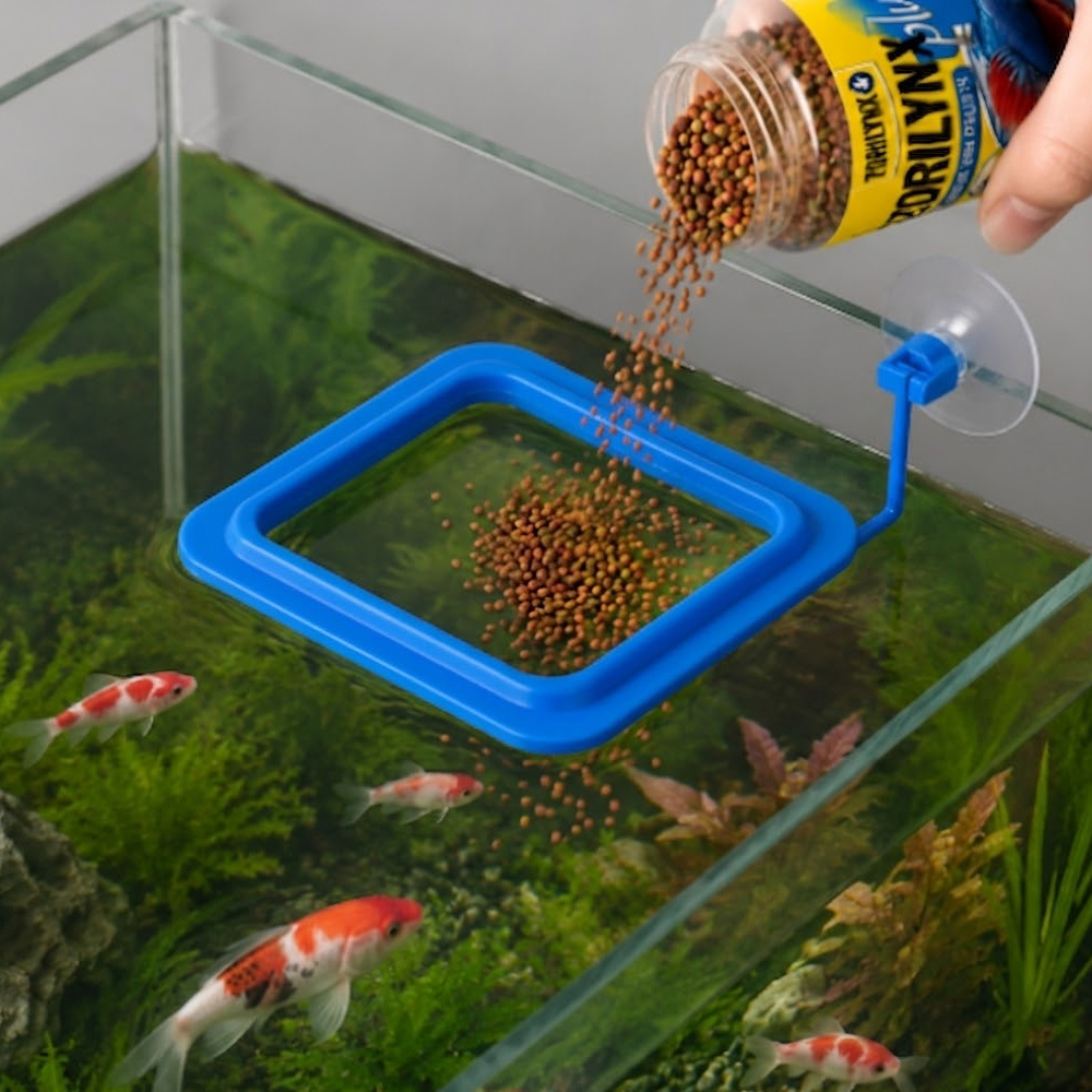 베타 금붕어 열대어 영양 색상 강화제 세트 ZORILY - Aquarium Fish Vitamin 리뷰 및 가격