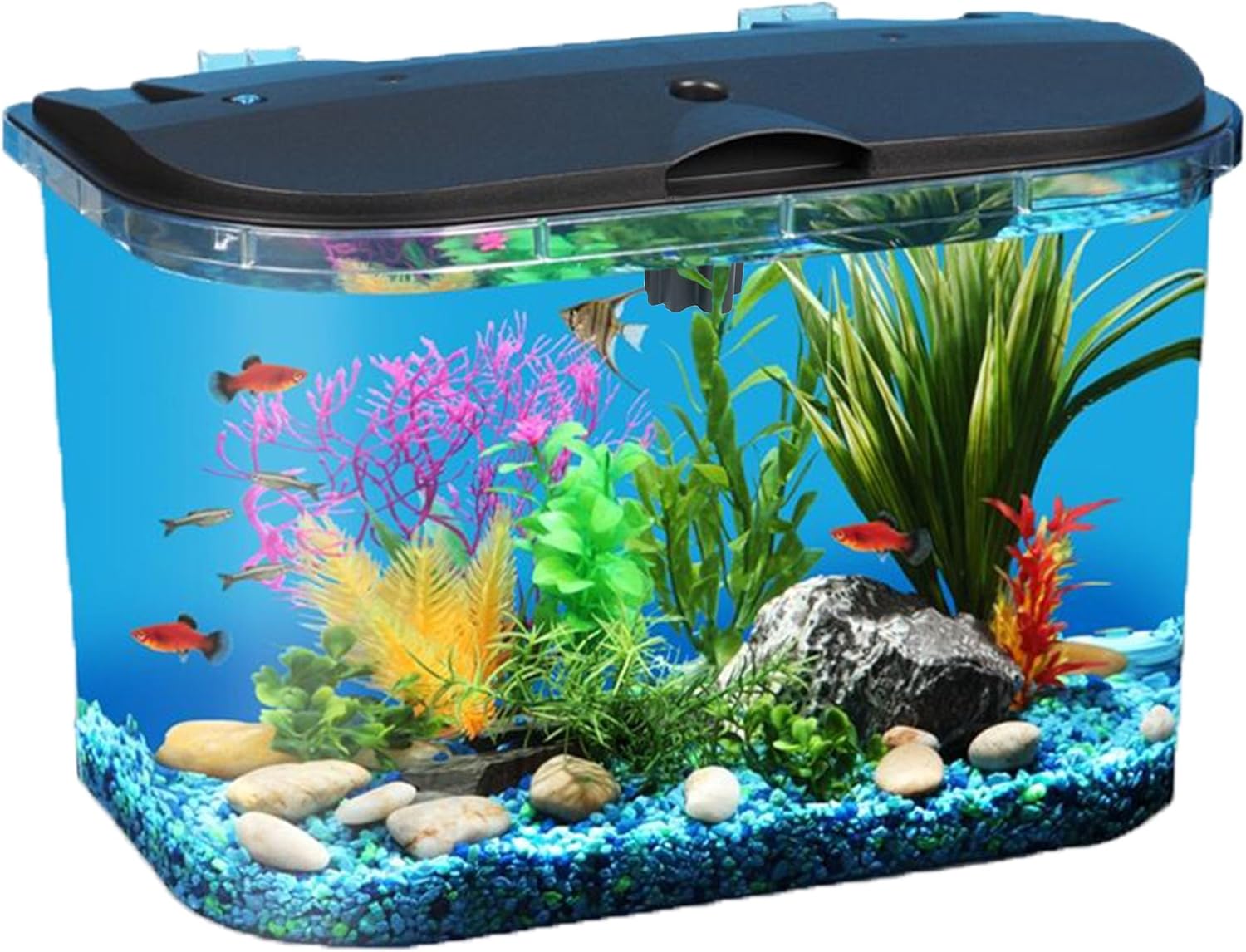 5갤런 수족관 키트(LED 조명 및 파워 필터 포함), - Aquarium Fish Variety 리뷰 및 가격
