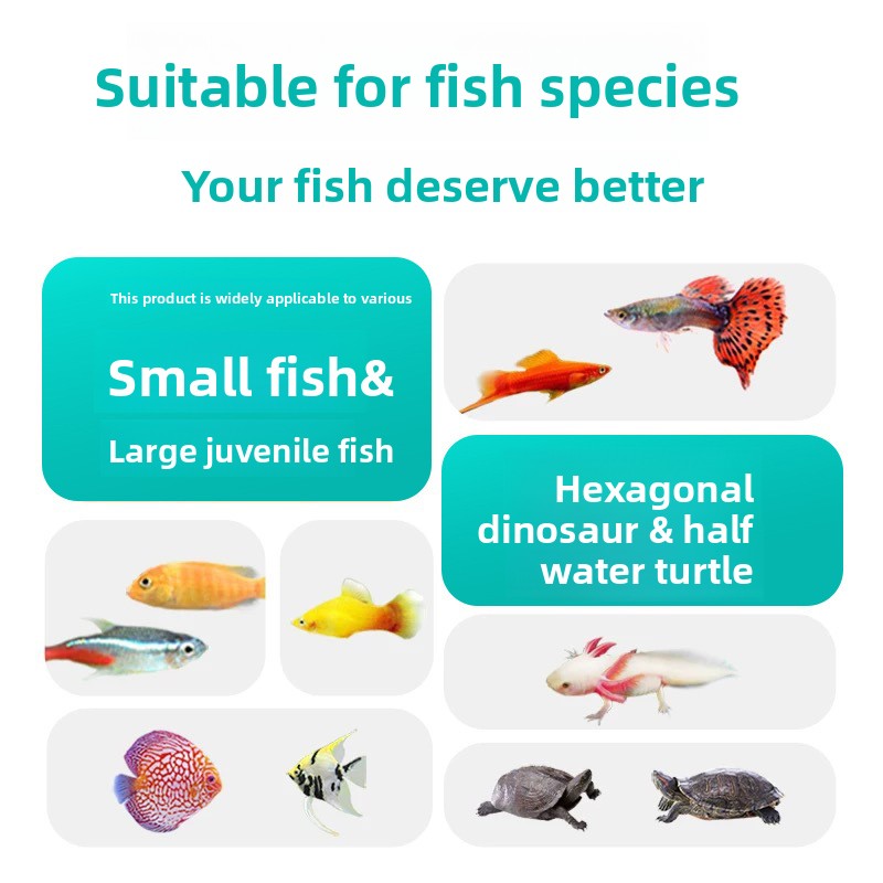 동유장 동결건조 혈웅, 단백질 어류 및 거북이 사료 ( - Aquarium Fish Vitamin 리뷰 및 가격